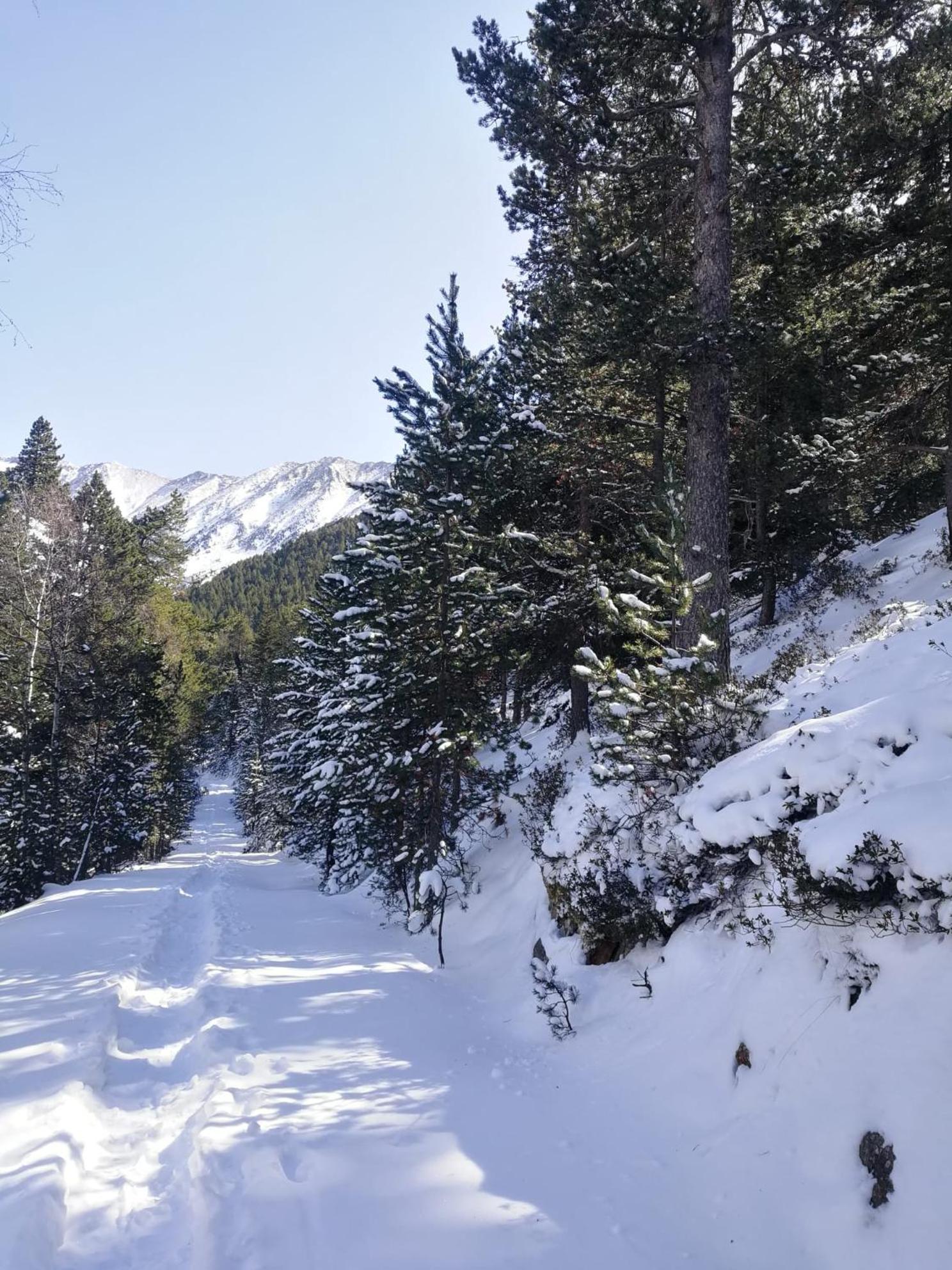 Pyrenees Catalanes Tres Joli Appartement 300M Telecabines Font-Romeu-Odeillo-Via Exterior photo