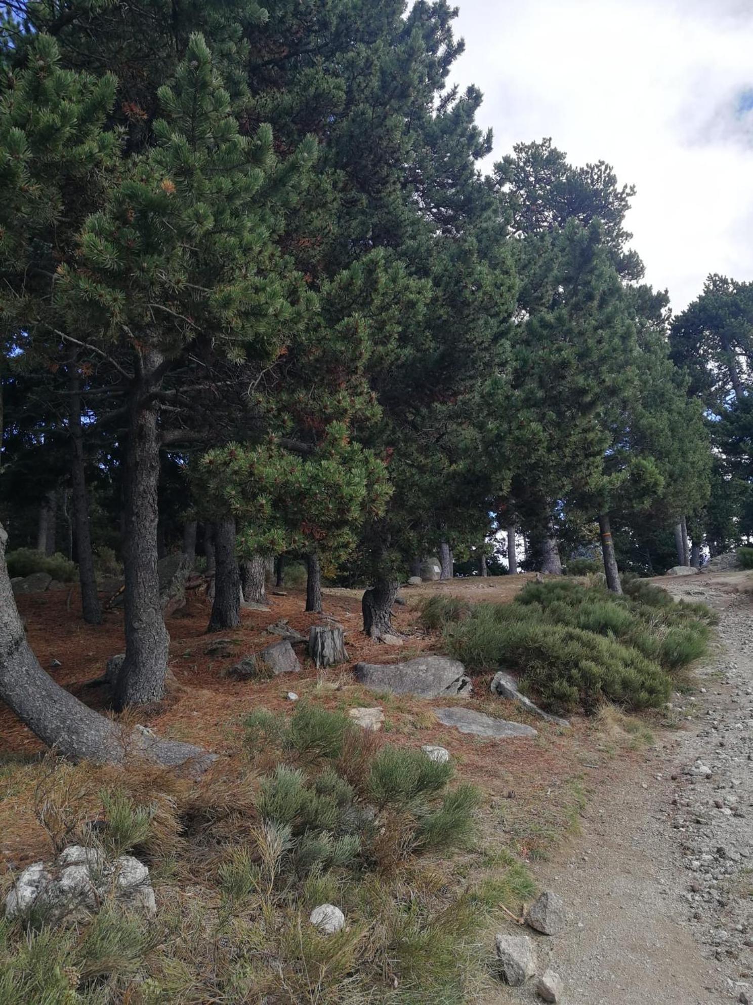 Pyrenees Catalanes Tres Joli Appartement 300M Telecabines Font-Romeu-Odeillo-Via Exterior photo